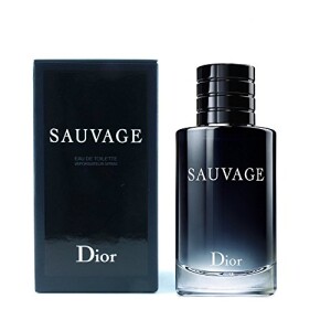 Sauvage Masculino De Christian Dior Eau De Toilette 100ml