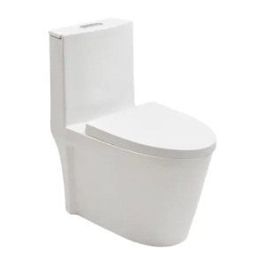 Vaso Sanitário Monobloco Painita sa - Branco