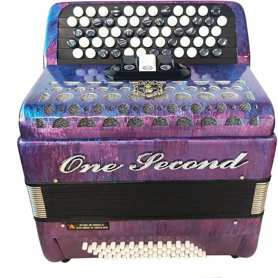 Acordeão, chave ONEDECOND marca 60BS62, acordeão adulto, adequado para iniciantes e estudantes como um instrumento educacional profissional, com alças (céu estrelado roxo)