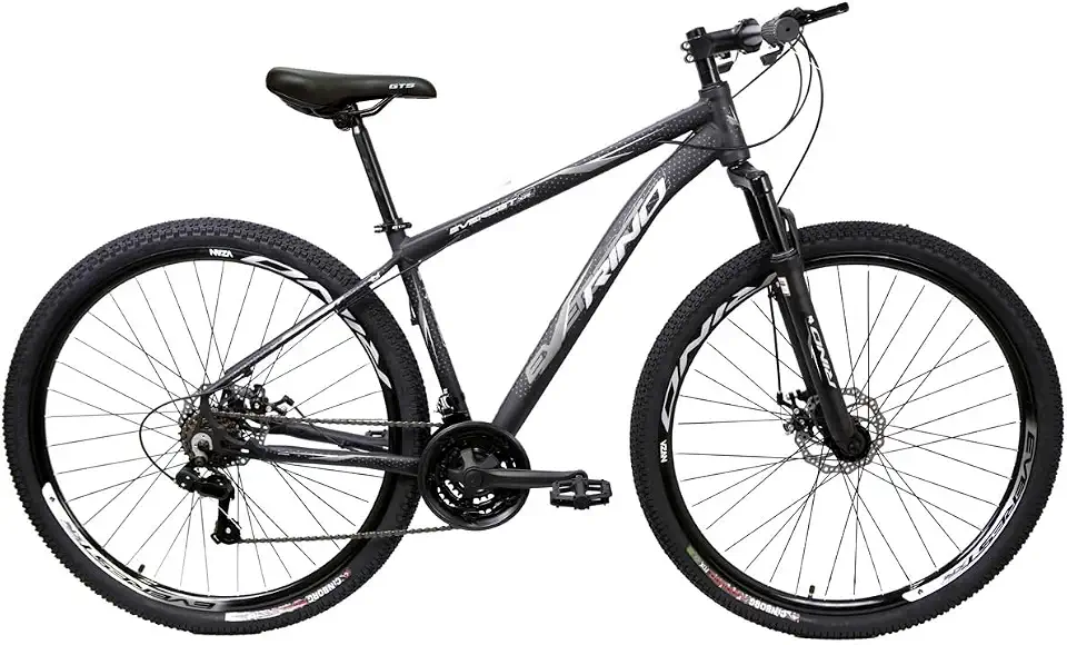 BICICLETA ARO 29 RINO EVEREST 24V - CAMBIOS INDEX