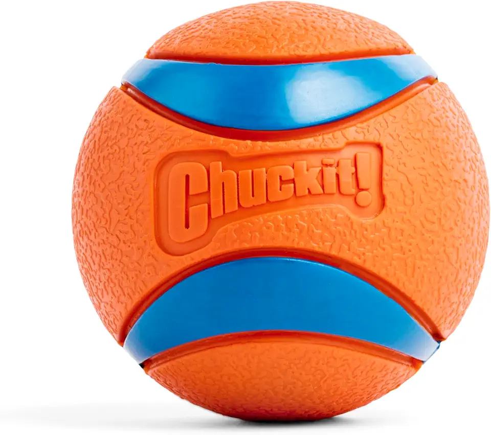 Bola Chuckit Ultra Ball 1Un G para Cães Chuckit para Cães, Grande, Laranja e Azul