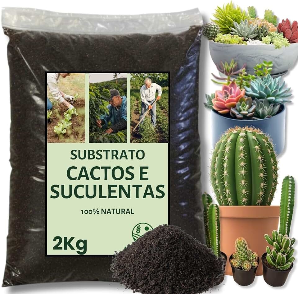 Terra Para Cactos Suculentas e Rosa do Deserto 2Kg - Substrato Arejado Pronto Para Uso Alta Drenagem