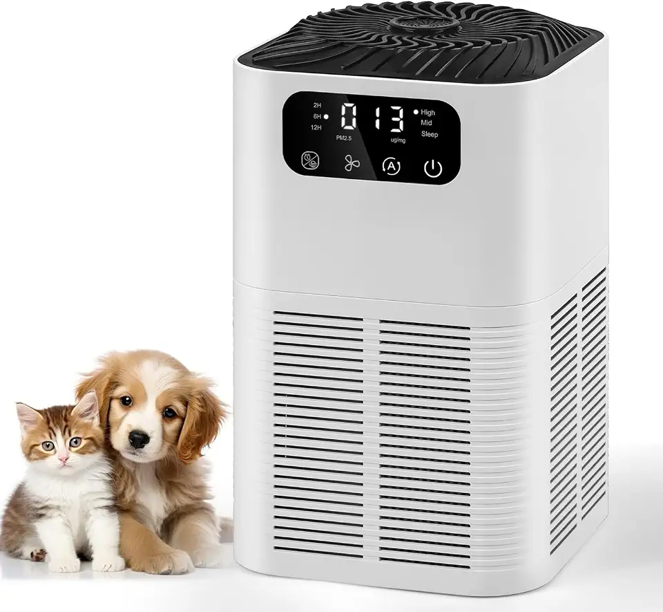 110 V Purificador de Ar para Quarto, Purificador de Ar para e Animais de Estimação, Ionizador de Ar Negativo