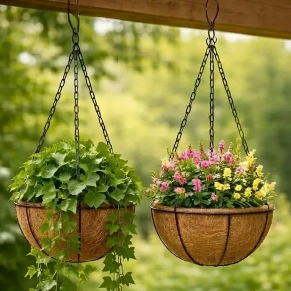 2 Vaso Suspenso de Fibra de Coco Natural com Corrente e Gancho, 20cm de Diâmetro, Suporte Metálico para Plantas Pendentes, Decoração Rústica para Jardim e Varanda (2)