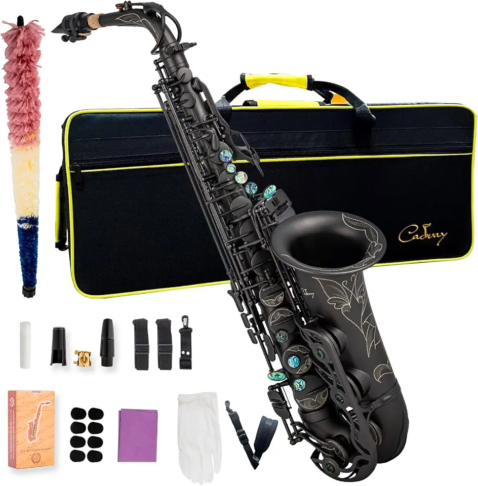 Saxofone Alto Saxofone Eb para iniciantes inclui escova de lona mala luva apito, cortiça, gesso, pano de limpeza, alça de pescoço e outros acessórios (esfoliante de níquel preto)