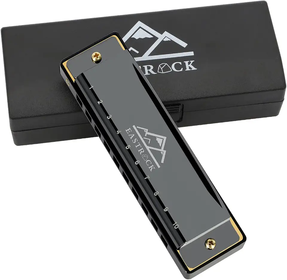 EastRock Blues Harmonica boca órgão 10 furos C chave com capa, gaita diatônica para jogadores profissionais, iniciantes, estudantes, adultos, amigos, presente preto