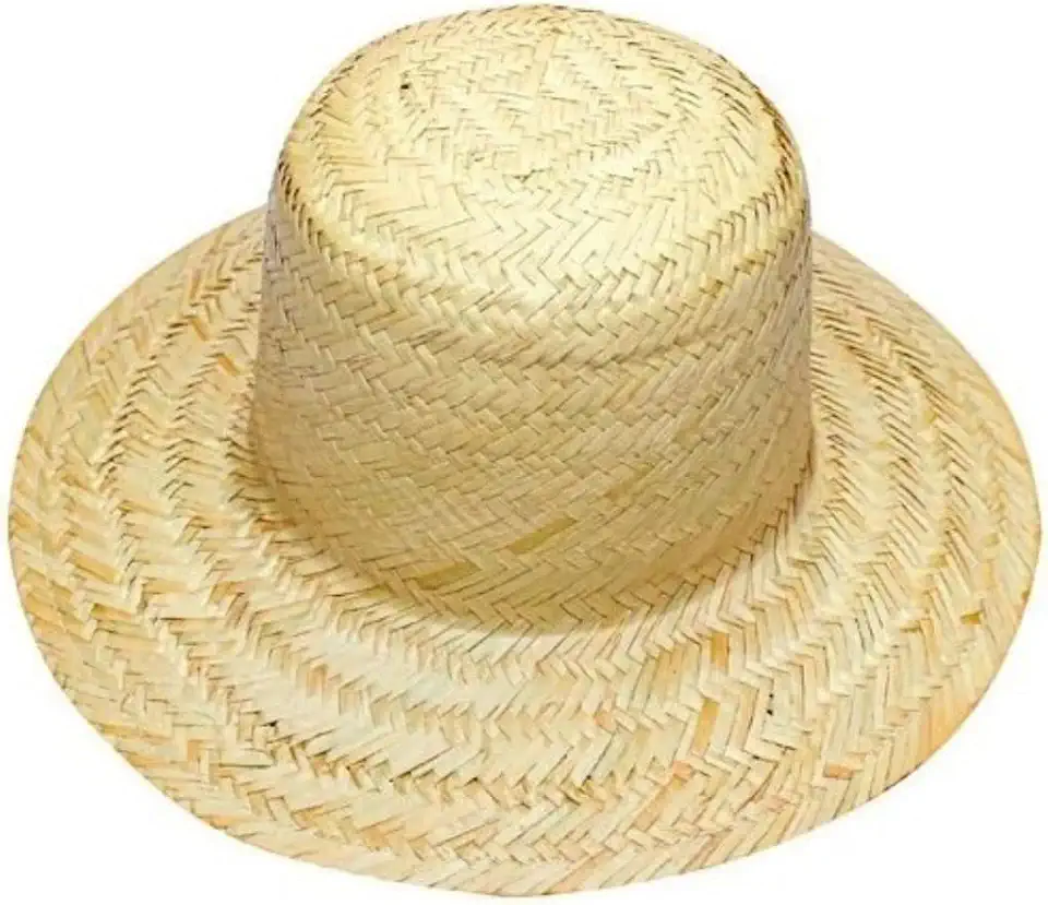 Chapéu de Palha Festa Junina Adulto, Estilo Brasília, 34 cm, Natural