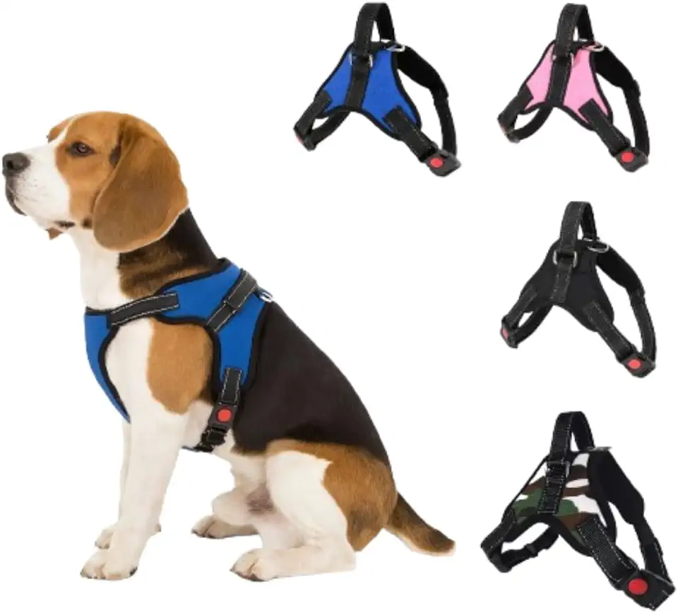 Coleira Peitoral com Regulagem e Dupla Trava de Segurança para Cães e Gatos – Ideal para Cachorros Pequenos e Médios, Conforto, Ajuste Preciso e Passeios Mais Seguros (Azul)