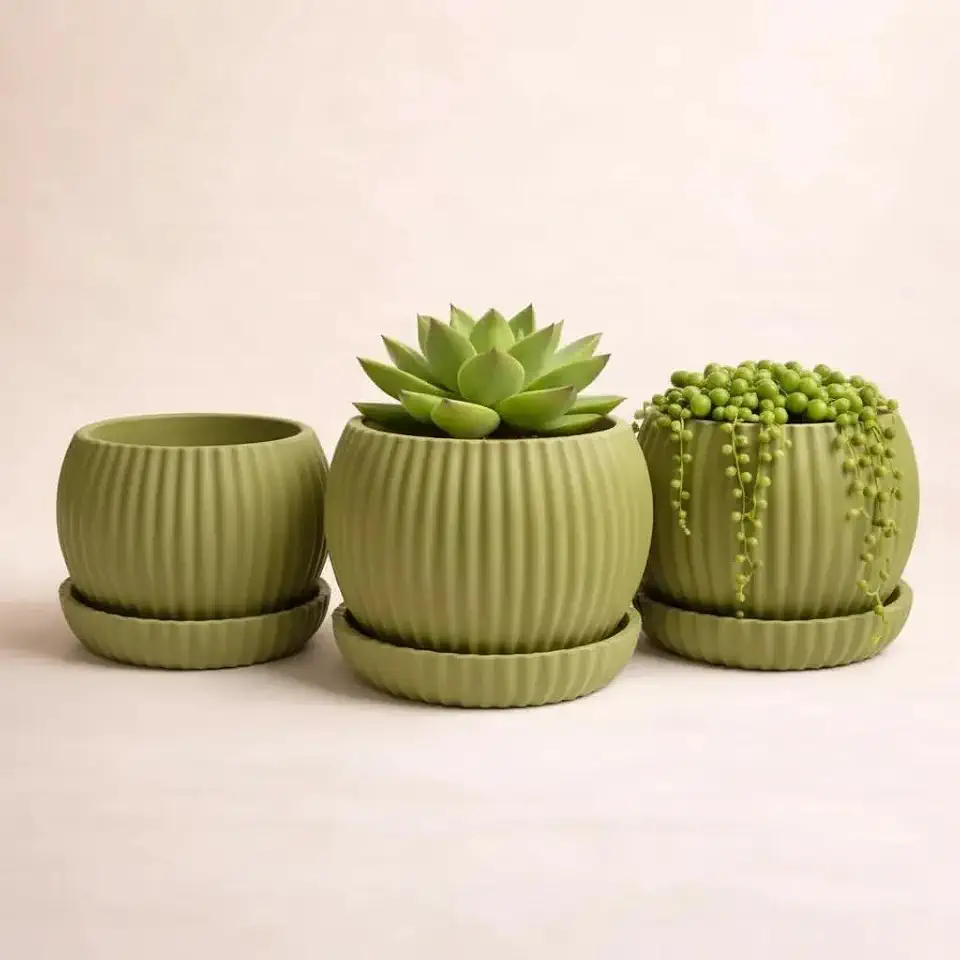 Kit 3 Vaso Decorativo para Suculentas com Prato e Drenagem Cachepô Moderno para Plantas Pequenas Design Canelado Ideal para Sala e Escritório (Verde Oliva)