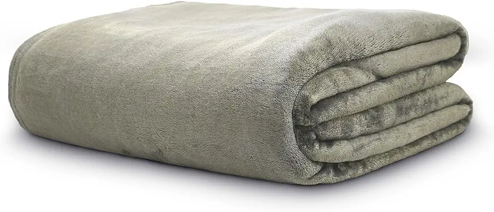 Cobertor Velour Select Casal 300g/m² 180X220 Fendi Camesa