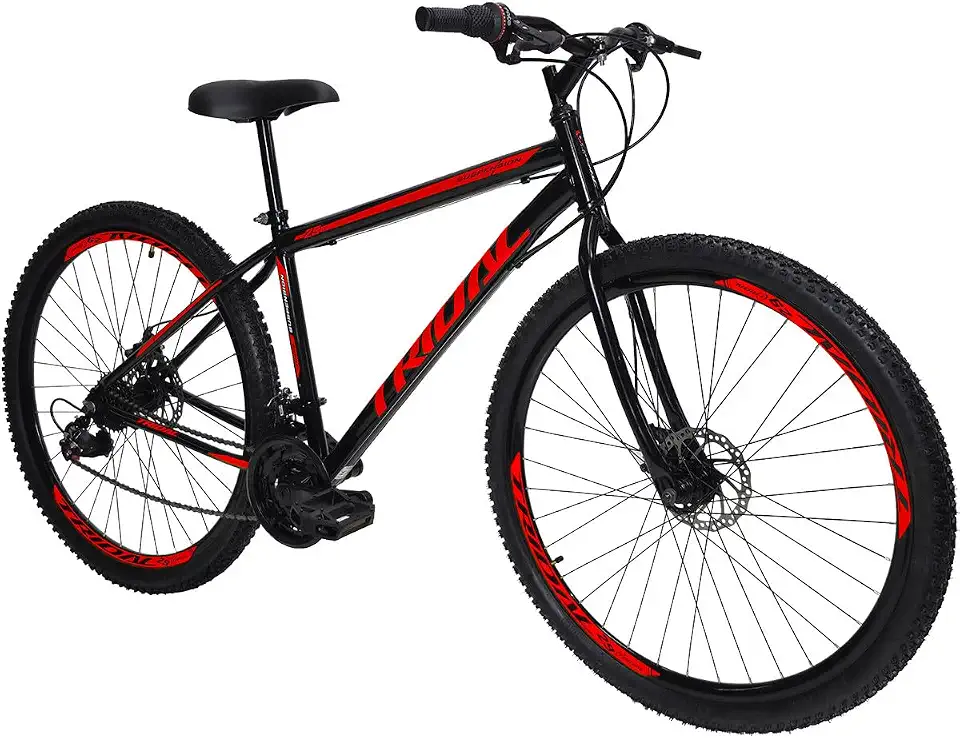 Bicicleta Aro 29 MTB Aço 21 Marchas Freio a Disco Tridal Bike