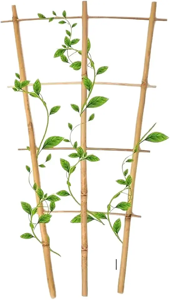 Tutor Bambu Natural 60, 75 e 90cm sustentação trepadeiras jardim treliça para crescimento de plantas suporte para vaso(60 cm)