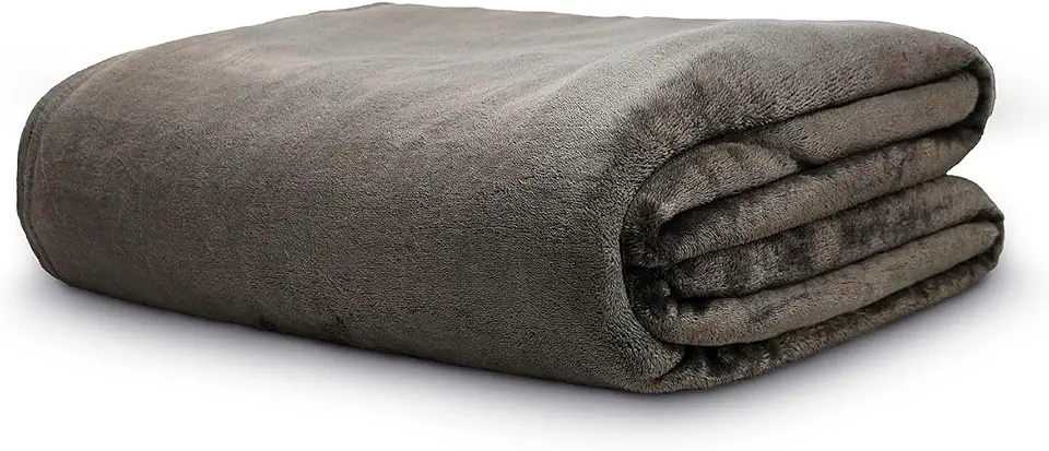 Cobertor Queen Neo Velour 300g 220x240cm Marrom Camesa