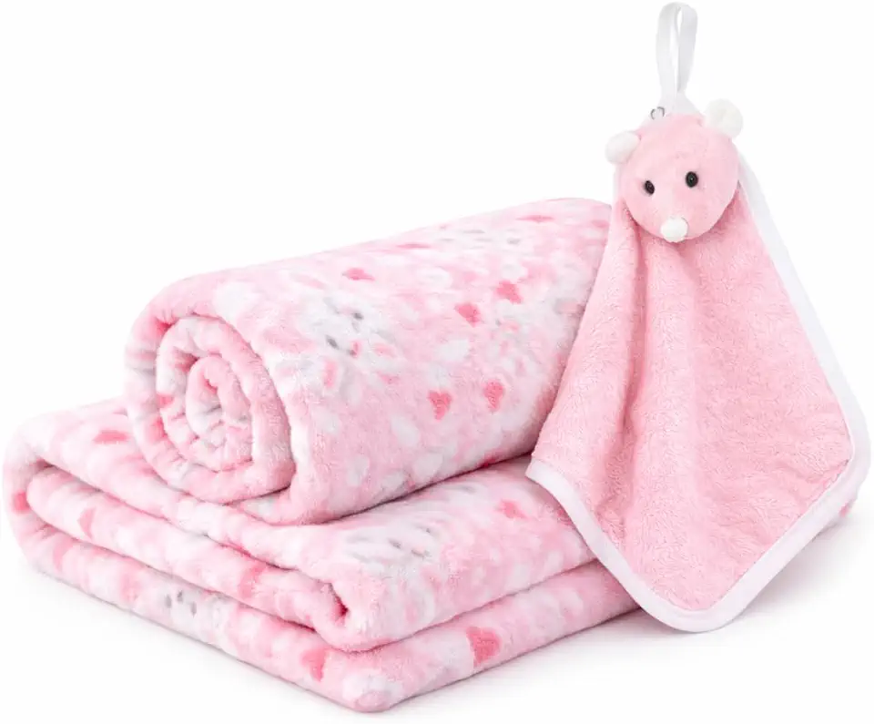 Manta Bebê Com Naninha Kit Infantil Recém Nascido Mantinha Macia Enxoval Presente Chá De Bebê Cobertor Infantil (Menina)