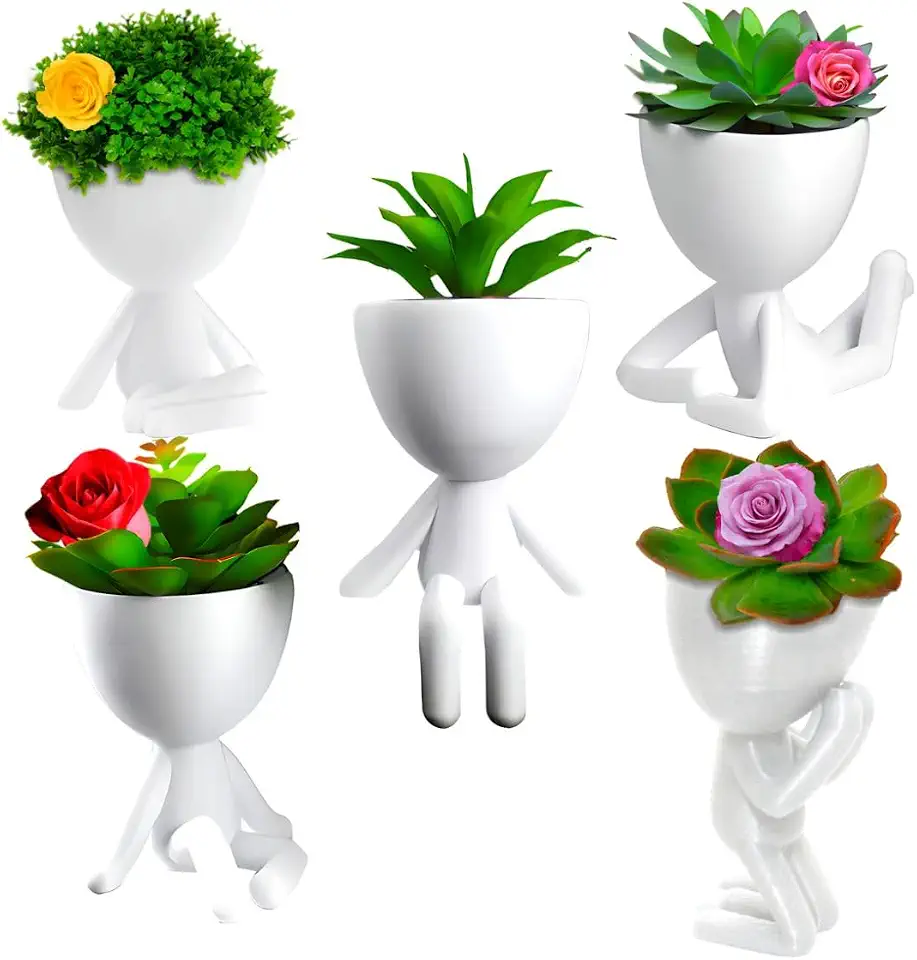Kit 5 Vasinhos Unidades Bob Decorativo Suculenta Plantas