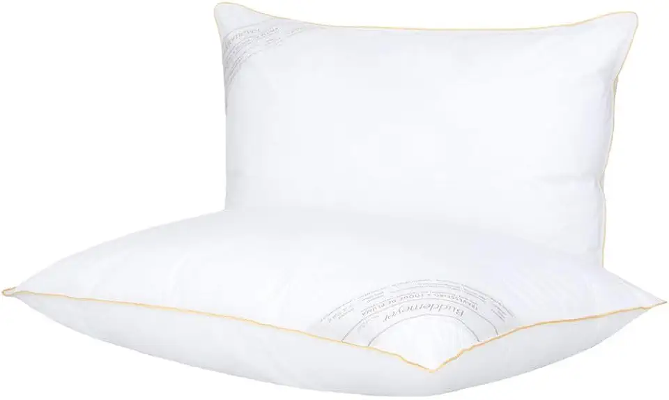 Buddemeyer Kit Travesseiro 50x70cm Toque de Pluma Algodão Branco 2 peças