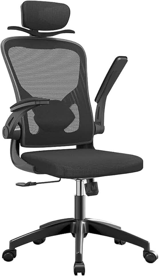 Cadeira de escritório ergonômica com estofado de mesh (Preto)