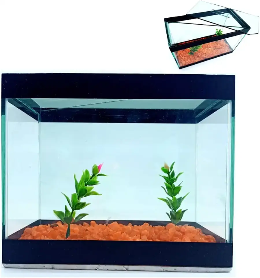 Aquário Invisivel Para 2 Peixes Betta Beteira Decorado Duplo
