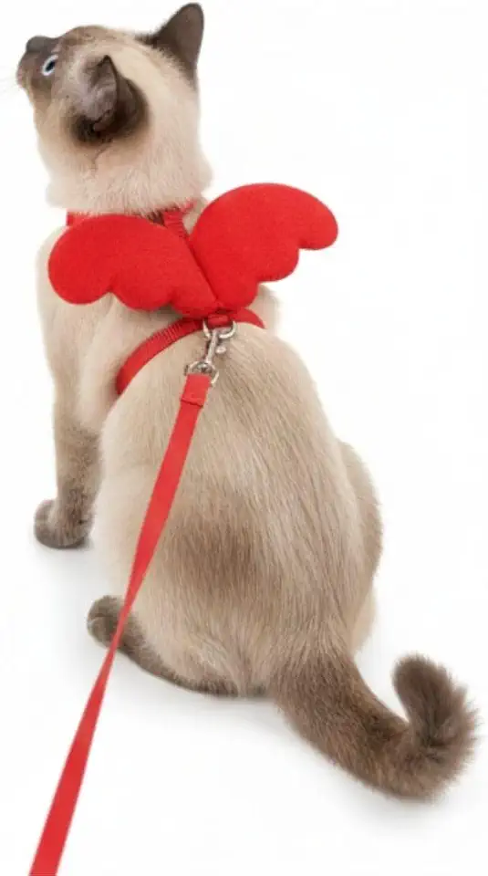 Coleira Peitoral para Gatos e Pets Pequenos com Guia Asas de Anjo Ajustável (Vermelho)