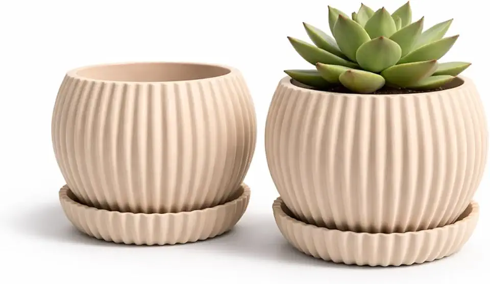 Vaso Decorativo para Suculentas com Prato e Drenagem Cachepô Moderno para Plantas Pequenas Design Canelado Ideal para Sala e Escritório Bege Nude 7cm x 8cm