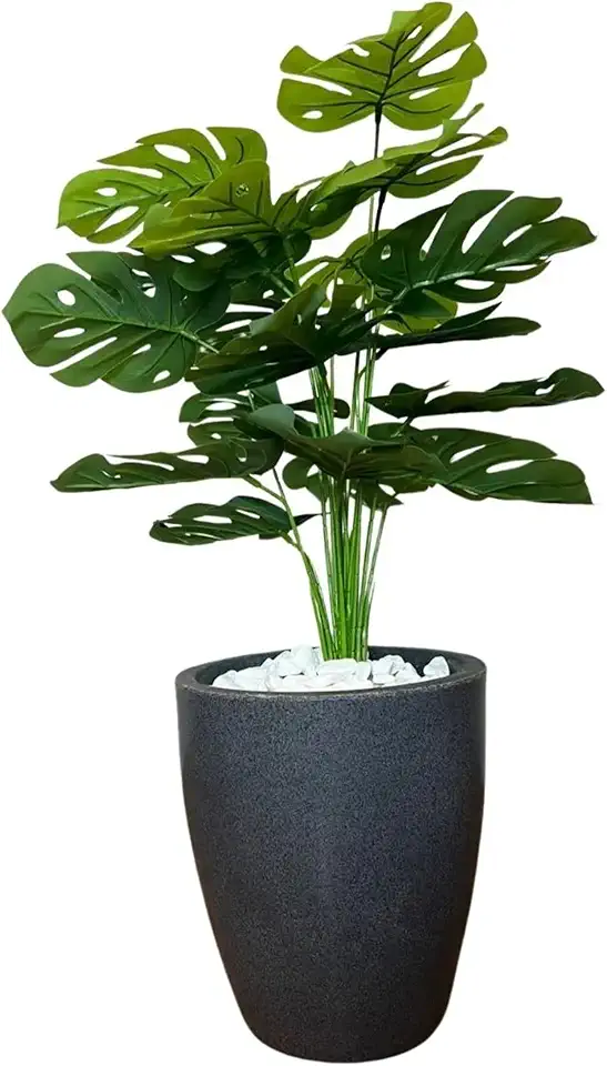 Costela De Adão Artificial Com Vaso Liso Cinza Escuro