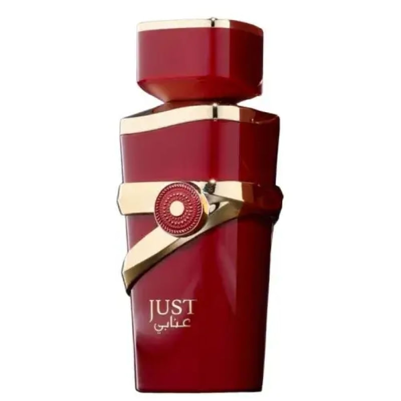 Perfume Feminino Just Anabi Fragrance Word Eau de Parfum 100ml *