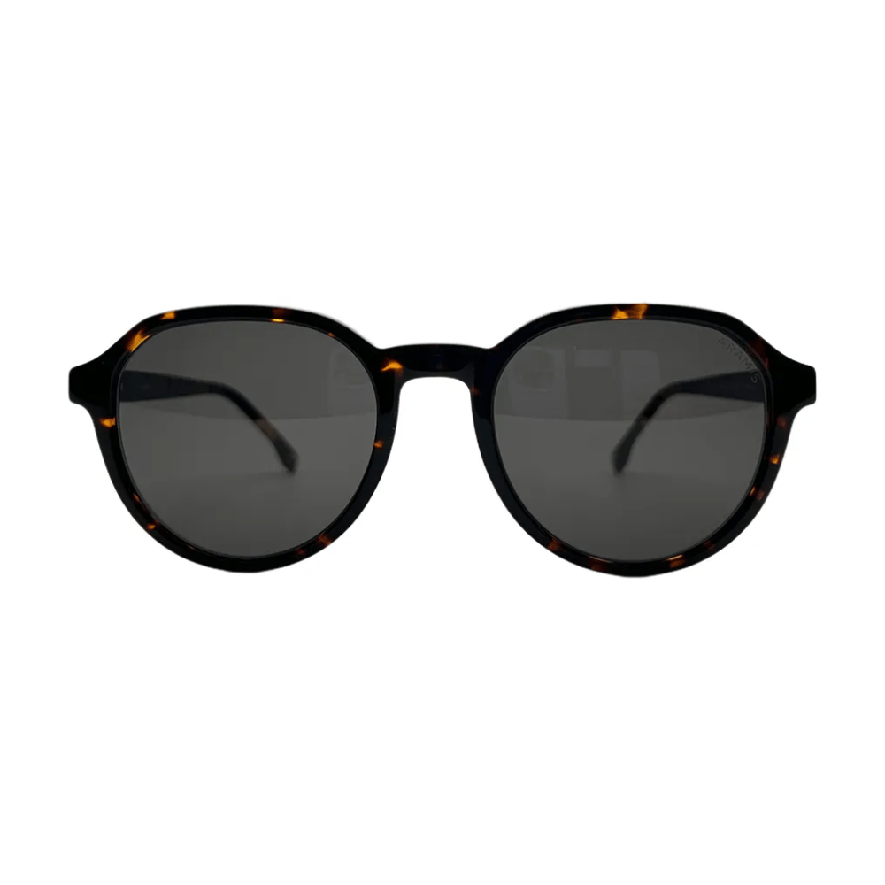 Óculos de Sol Masculino Aramis SAR141 Havana Escuro