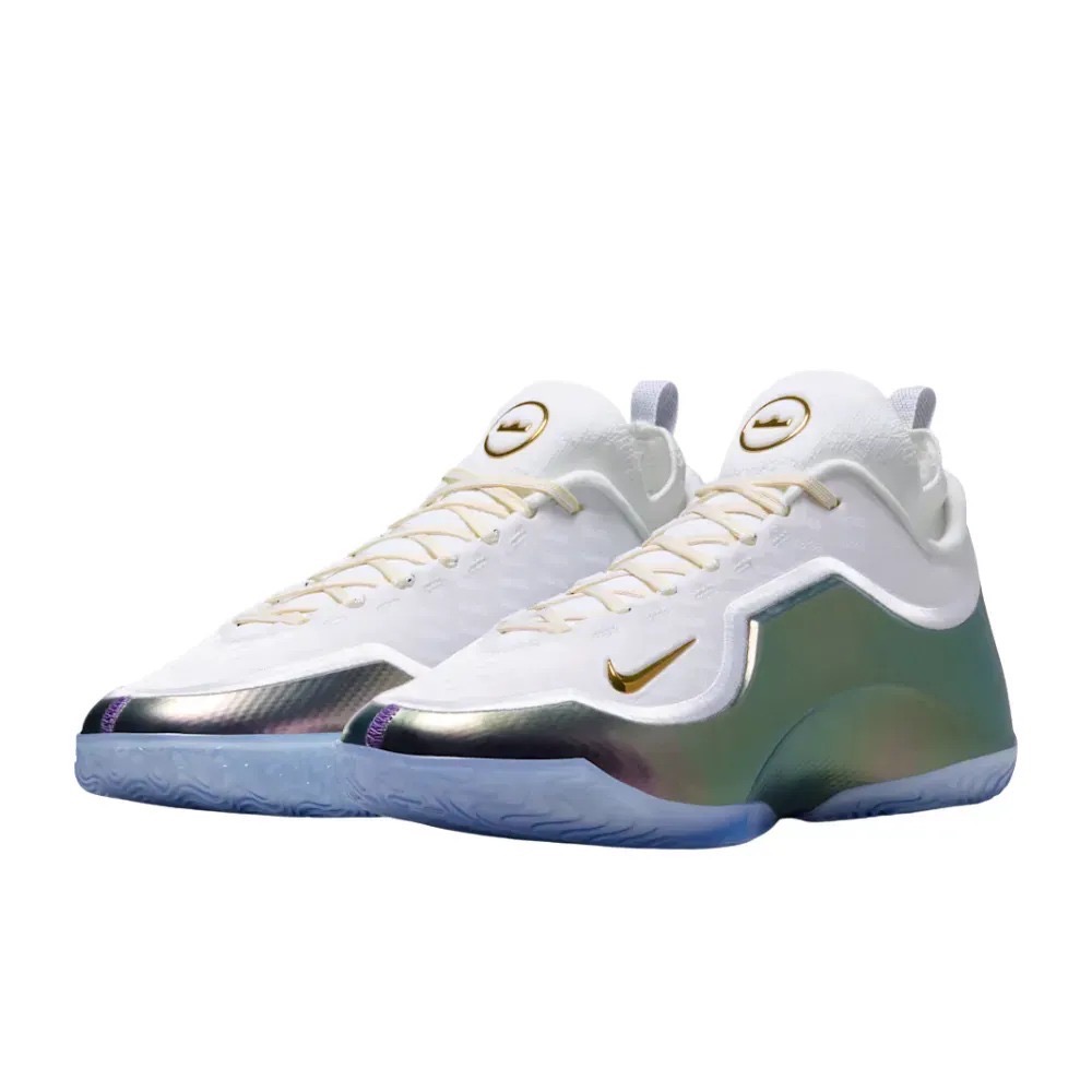 Nike LeBron XXIII Elite For the Record — 39 / 39.5 / 40 / 40.5 / 41 / 42 / 42.5 / 43 / 43.5 / 44 / 46, Novo