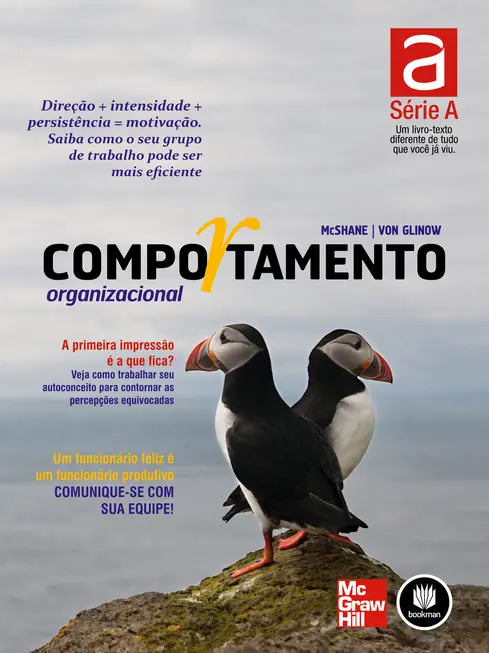 Comportamento Organizacional