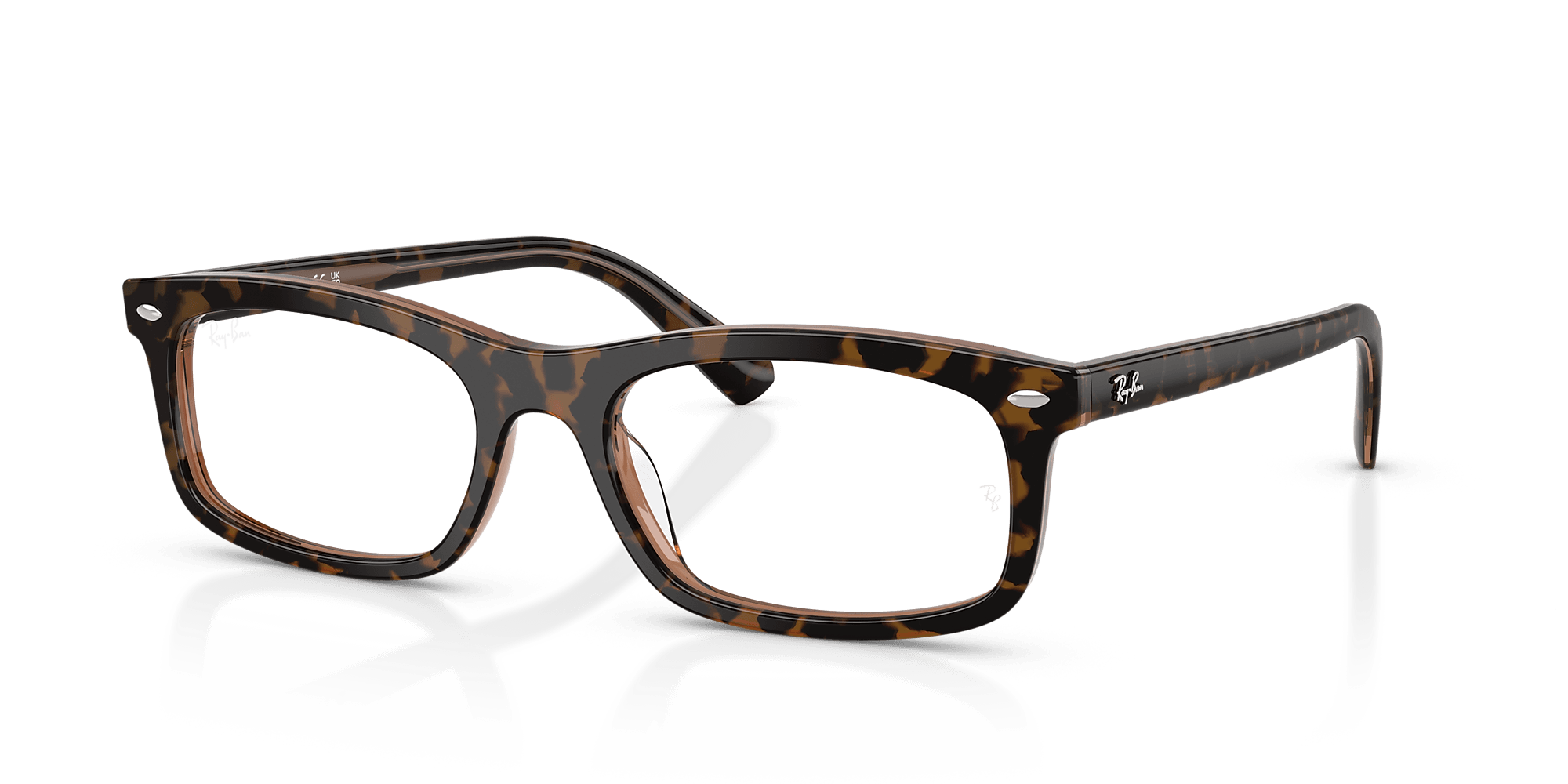 RB5450 Optics