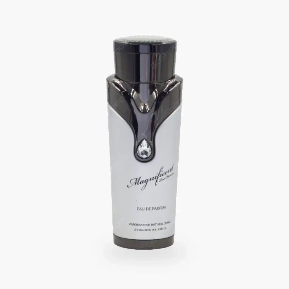 Magnificent Pour Homme — 100 ML