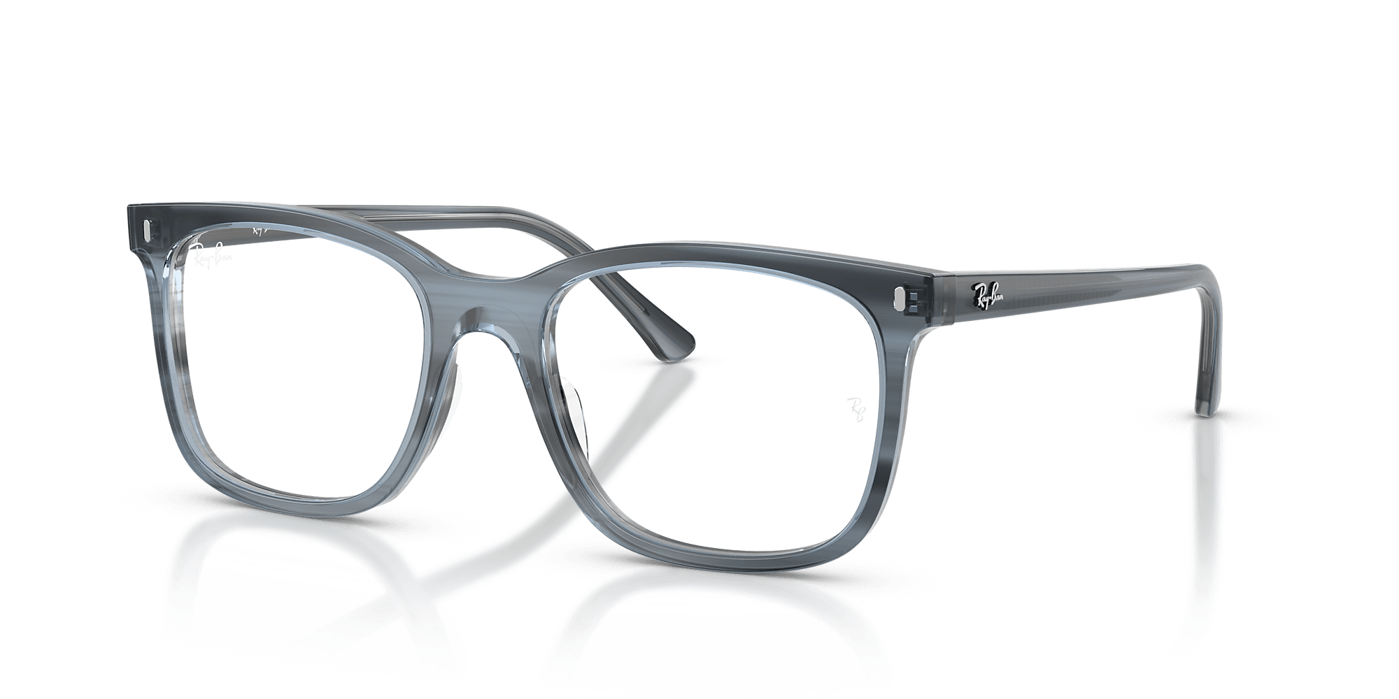 RB5446 Optics
