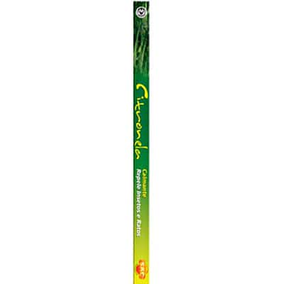 Incenso citronela Sac CX 8 UN