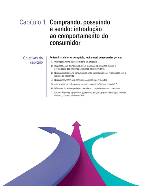 O Comportamento do Consumidor