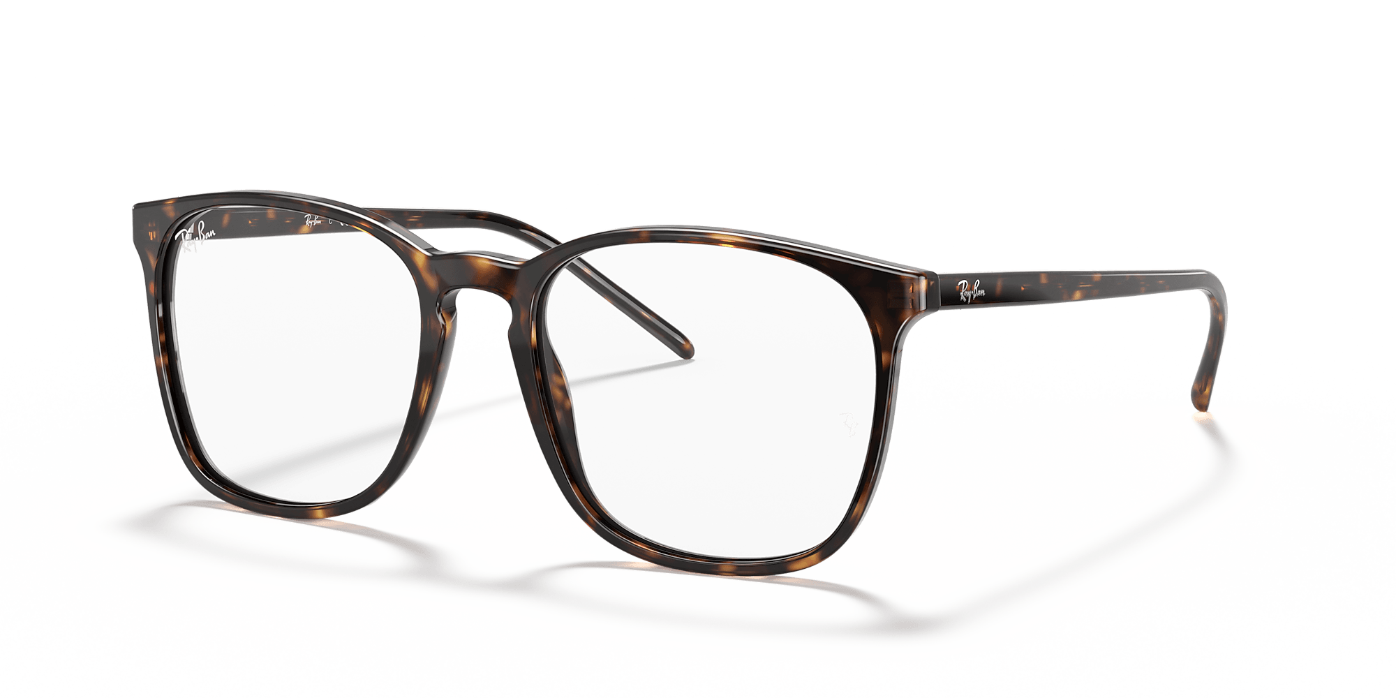 RB5387 Optics