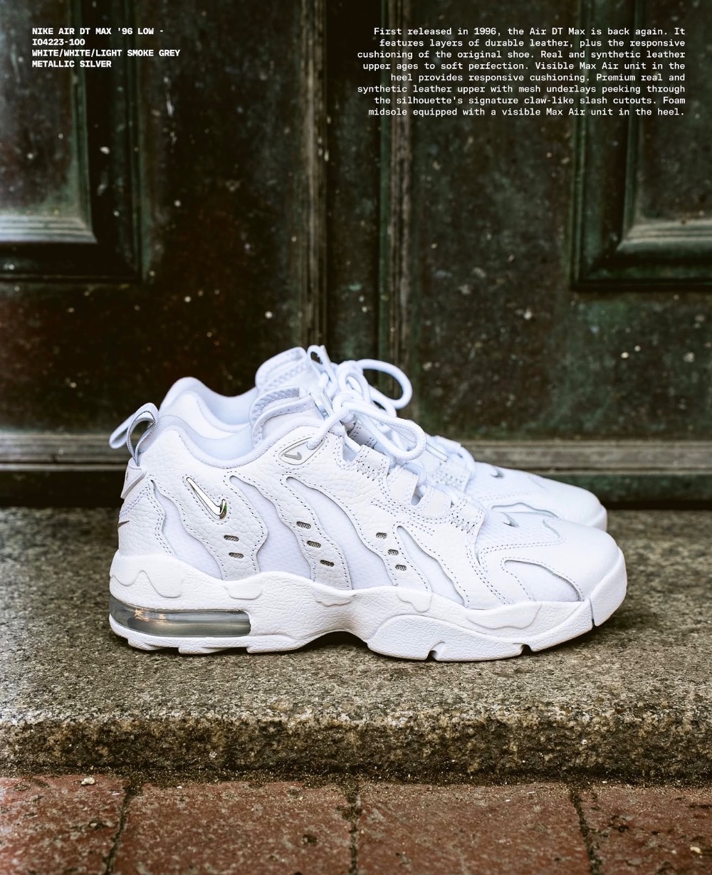 Nike Air DT Max '96 Low Light Smoke Grey Metallic Silver — 41, Novo