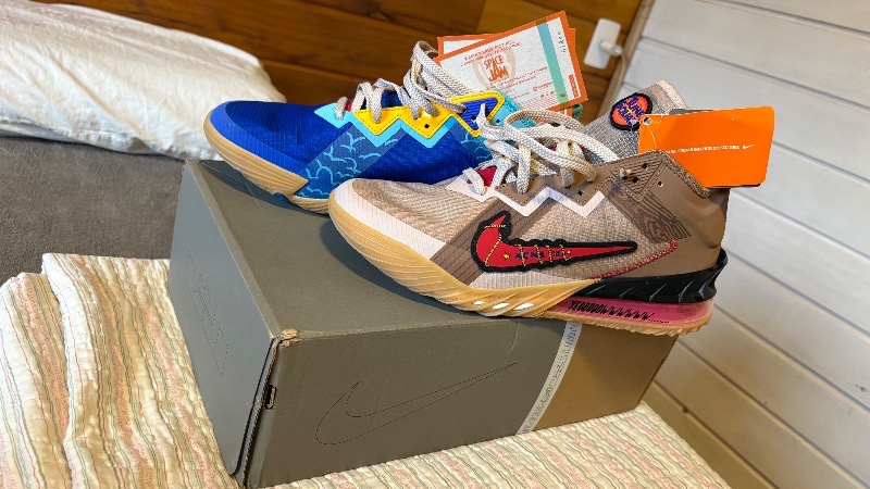 Foto 3 de Nike Lebron 18 Low Wile E Vs Roadrunner — 43, Novo
