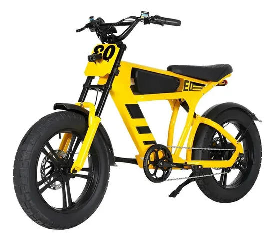 Bicicleta Elétrica Panda FT03 1000w 48v