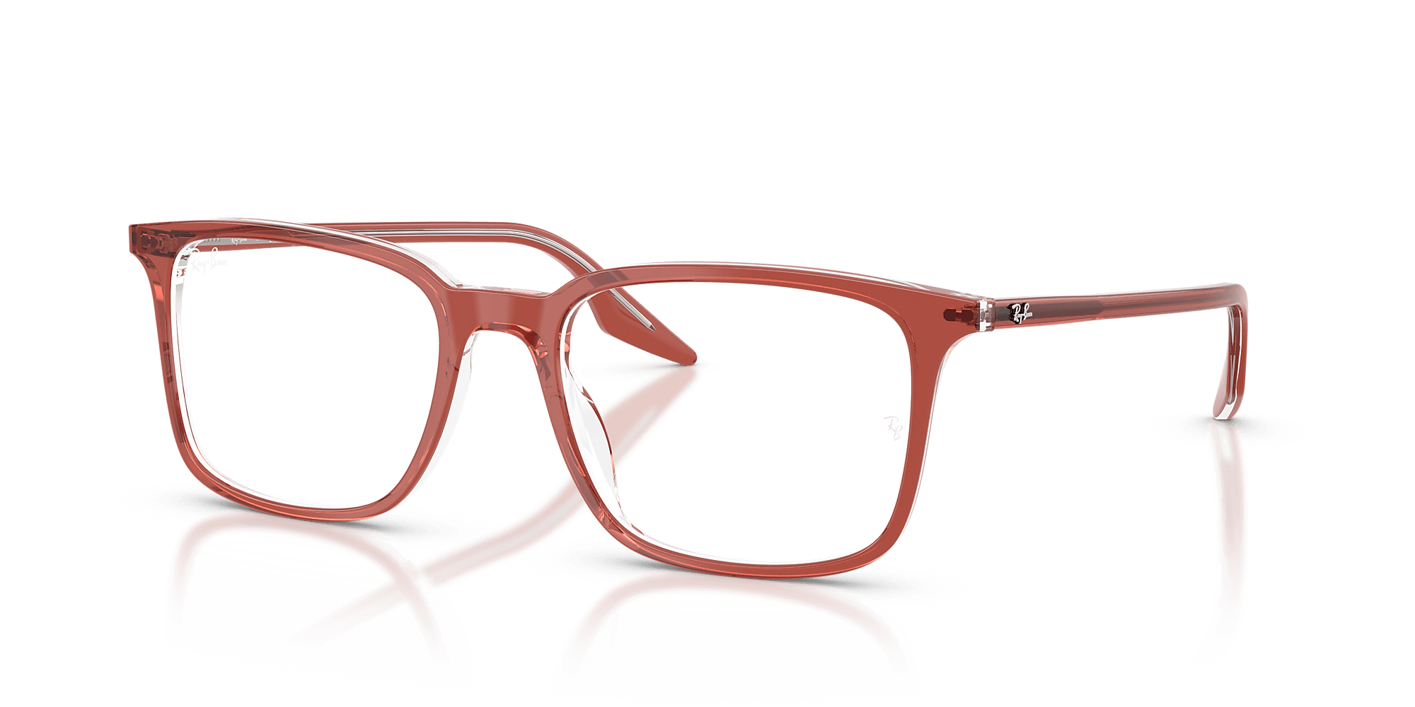 RB5421 Optics