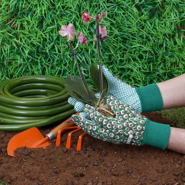 LUVAS JARDIM TRICOTADAS C/ ALGAS PONTOS PVC M-PALISAD