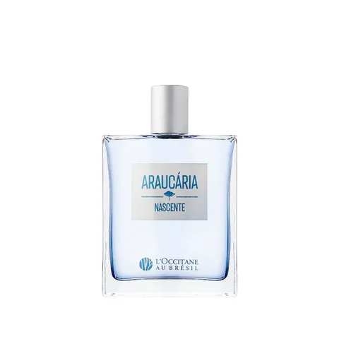 L'occitane Deo Colônia Araucária Nascente 100ml