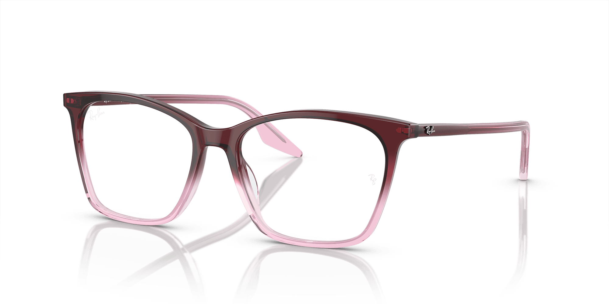 RB5422 Optics