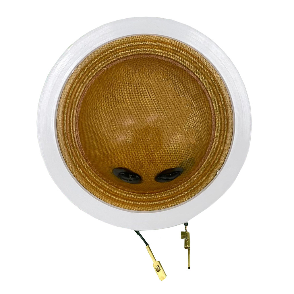 Reparo Compatível JBL Selenium Roadstar Driver D 250 8 Ohms 100w Force One