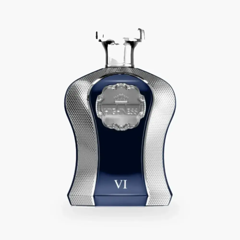 HIGHNESS VI Blue — 100 ML