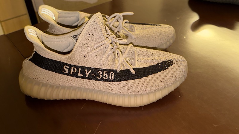Foto 3 de Yeezy Boost 350 V2 Slate — 45, Usado