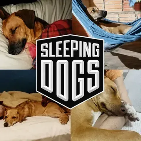 [Steam] Jogo Sleeping Dogs: Definitive Edition - PC