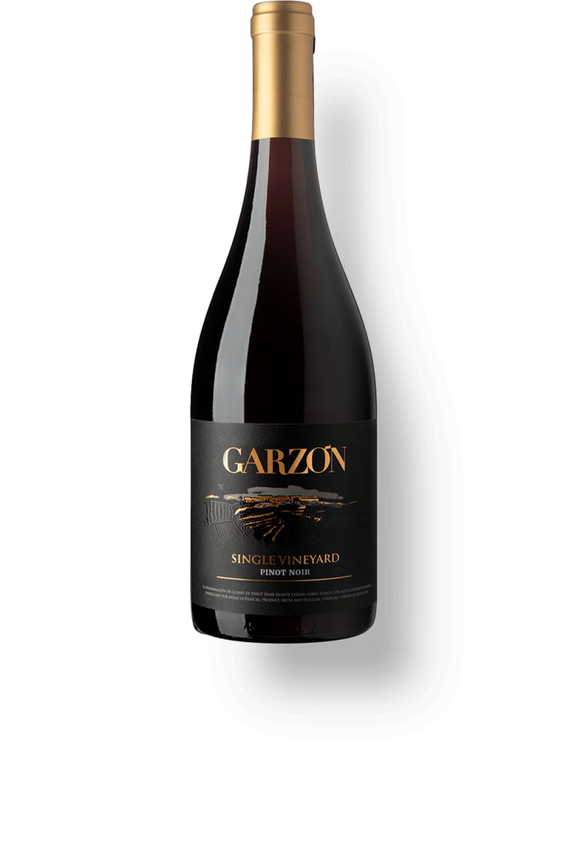 Garzón Single Vineyard Pinot Noir