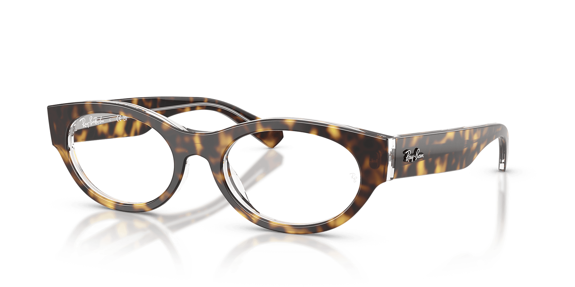RB5447 Optics
