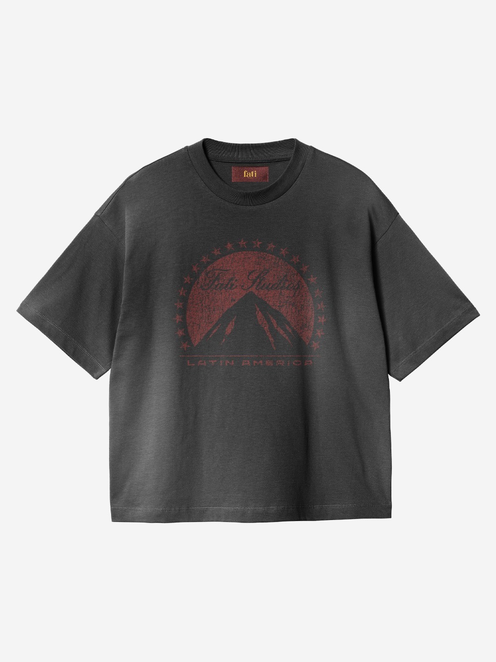 Camiseta Fati Studios Mount Boxy Black — P / M / G / XG, Novo