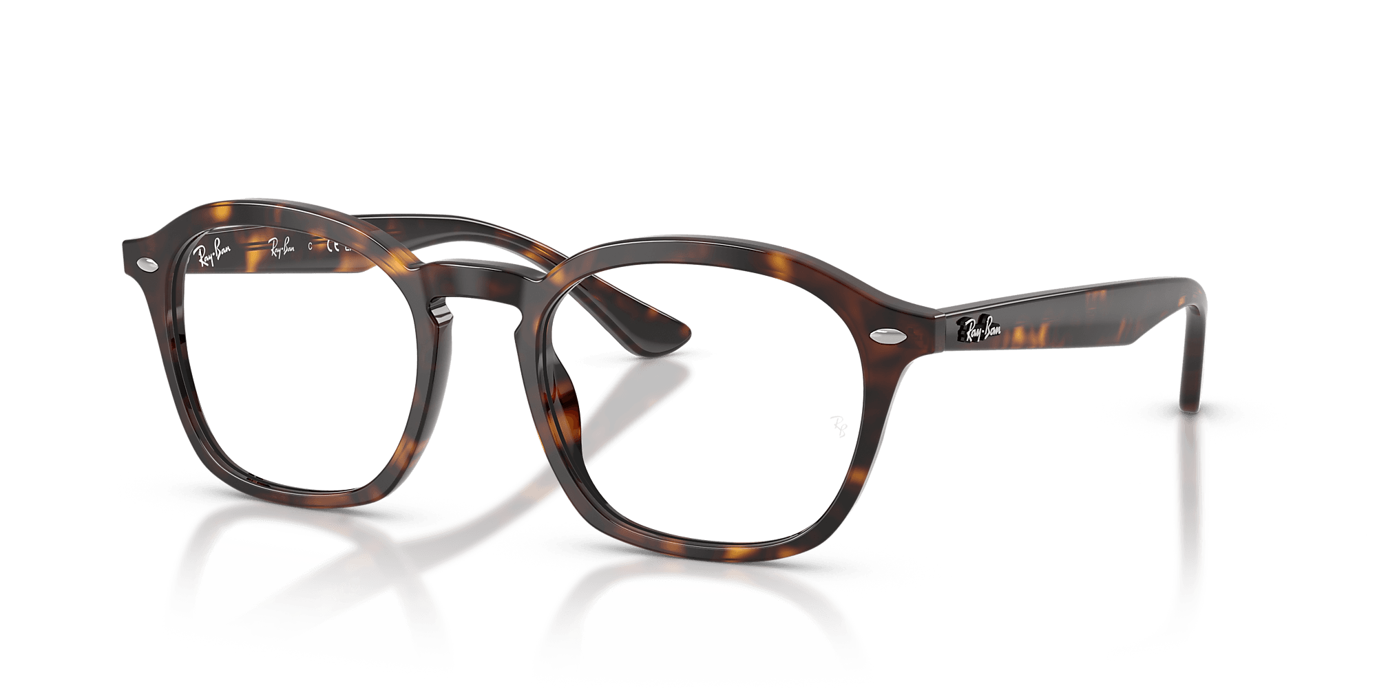 RB5451 Optics